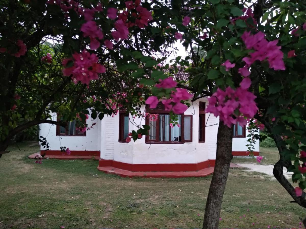 Colonial Surfing Villa Hostel & Home Stay Midigama Luaran gambar